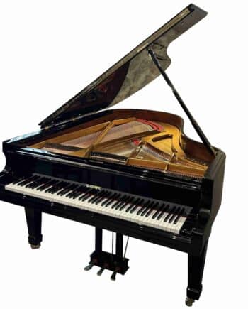 euterpe 190 occasion